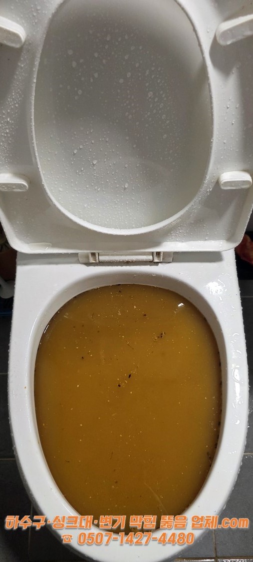 물이 내려가지 않고 꽉 막힌 변기